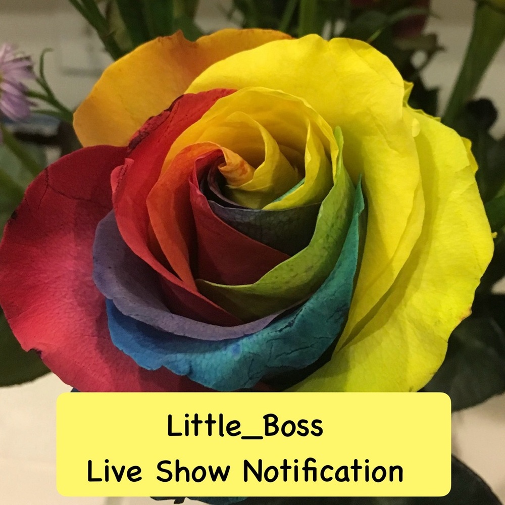Live Show Notification